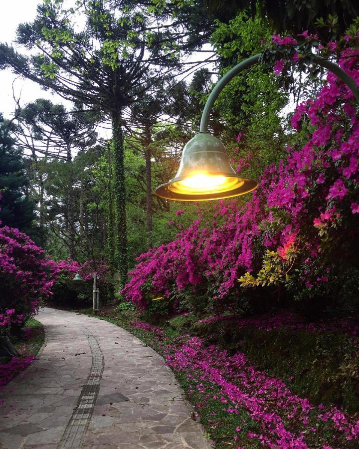 Apartamento Refugio Do Ipe Em Gramado - Proximo Ao Lago Negro Exteriör bild